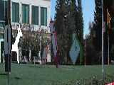 Icon Garden